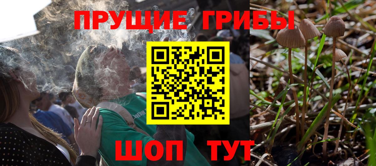 Ярцево  Псилоцибиновые грибы ЛСД  Галлюциногенные грибы ЛСД  купить закладку  Вход с VPN 
